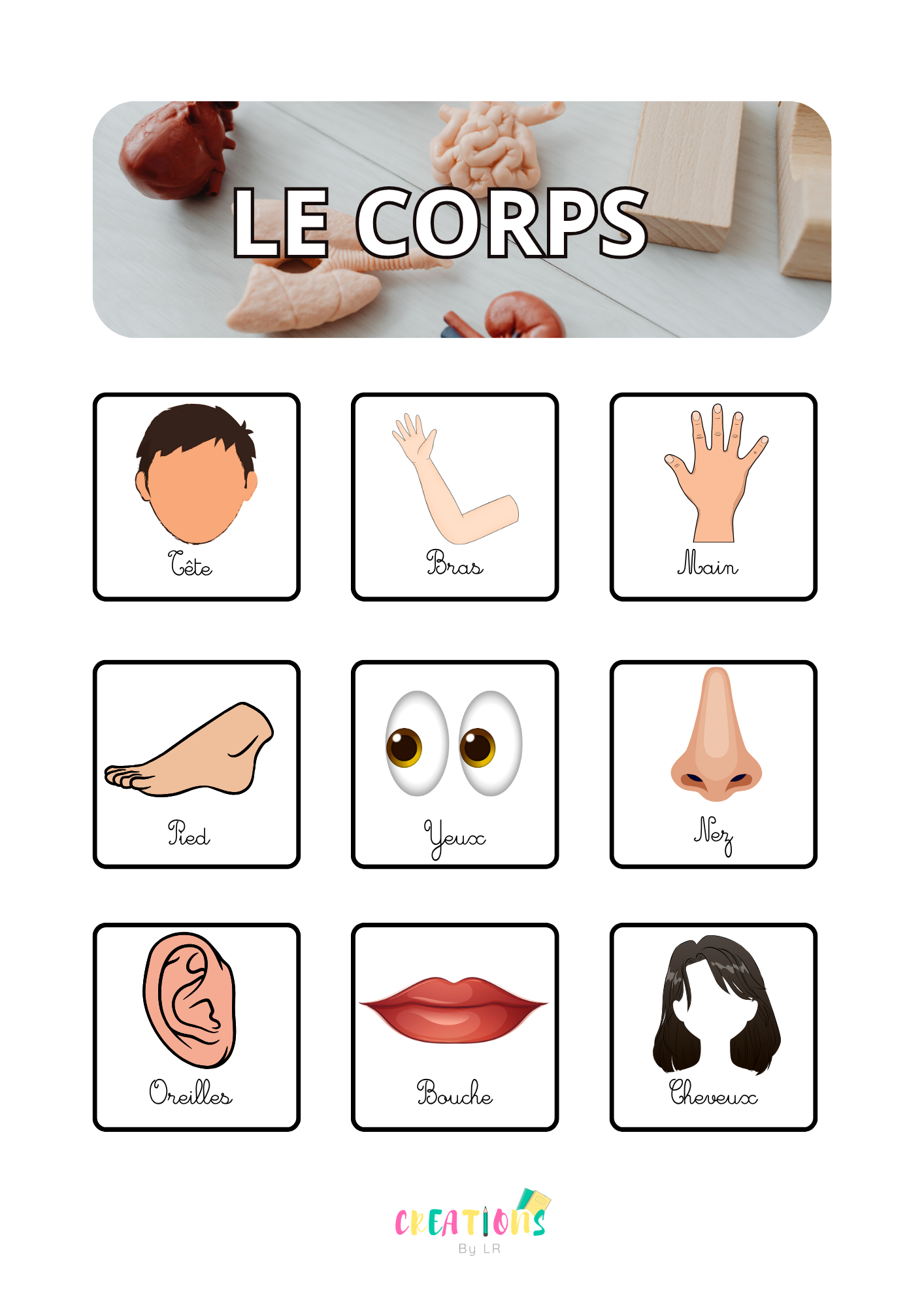 Le corps humain 🧠