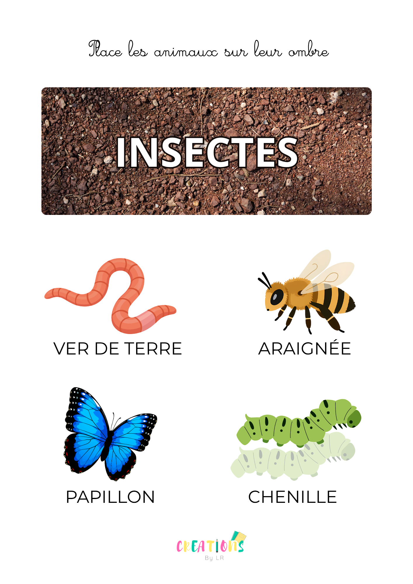 Les insectes 🦋