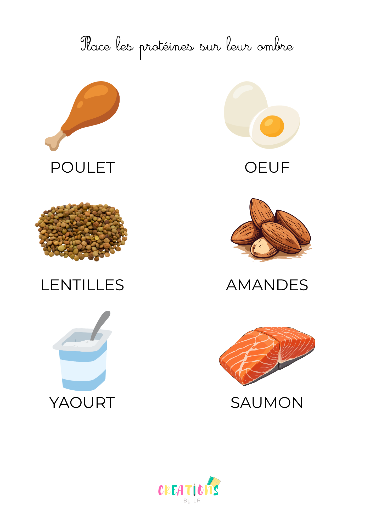 Les protéines 🍗