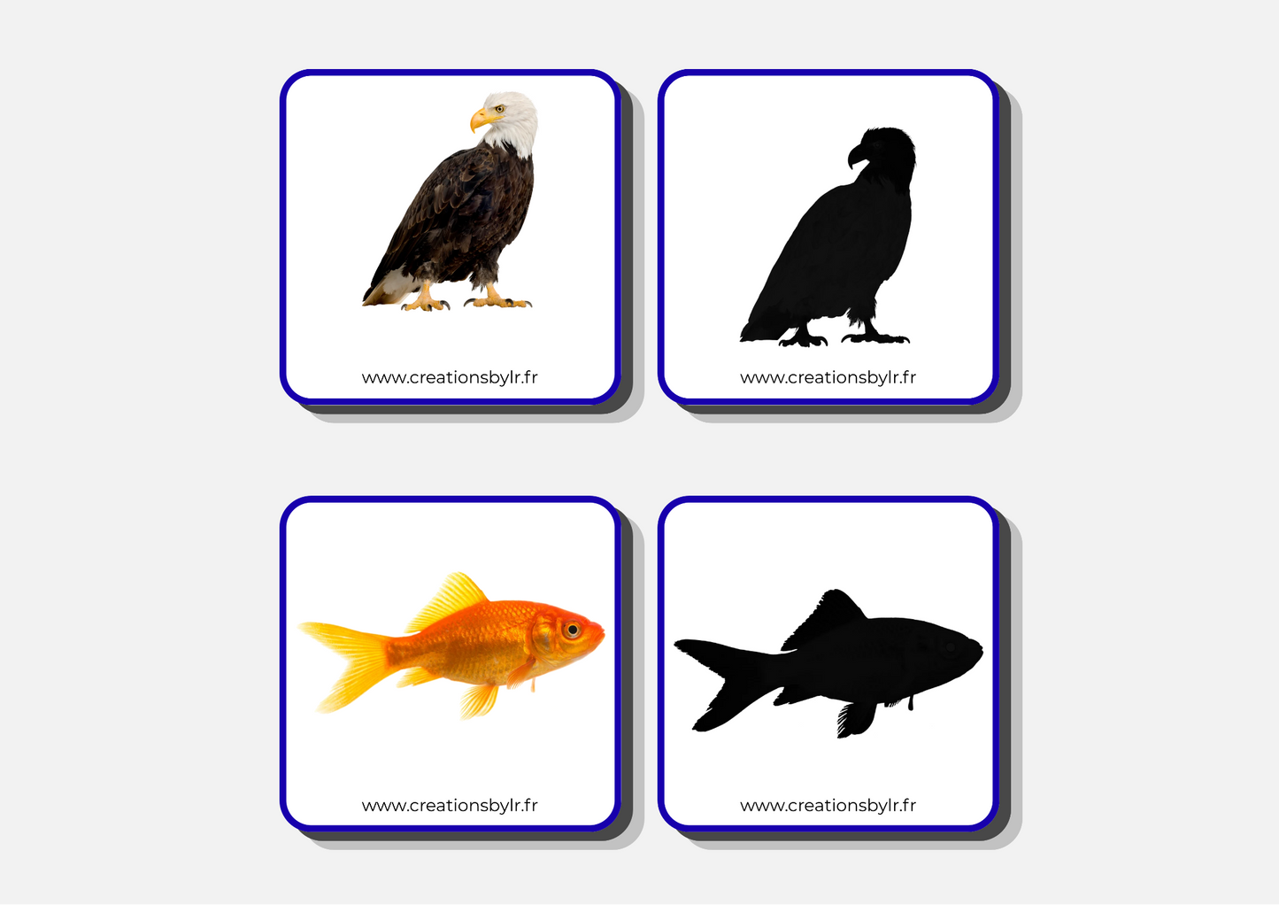 Jeu d’association - Associer l’animal à son ombre