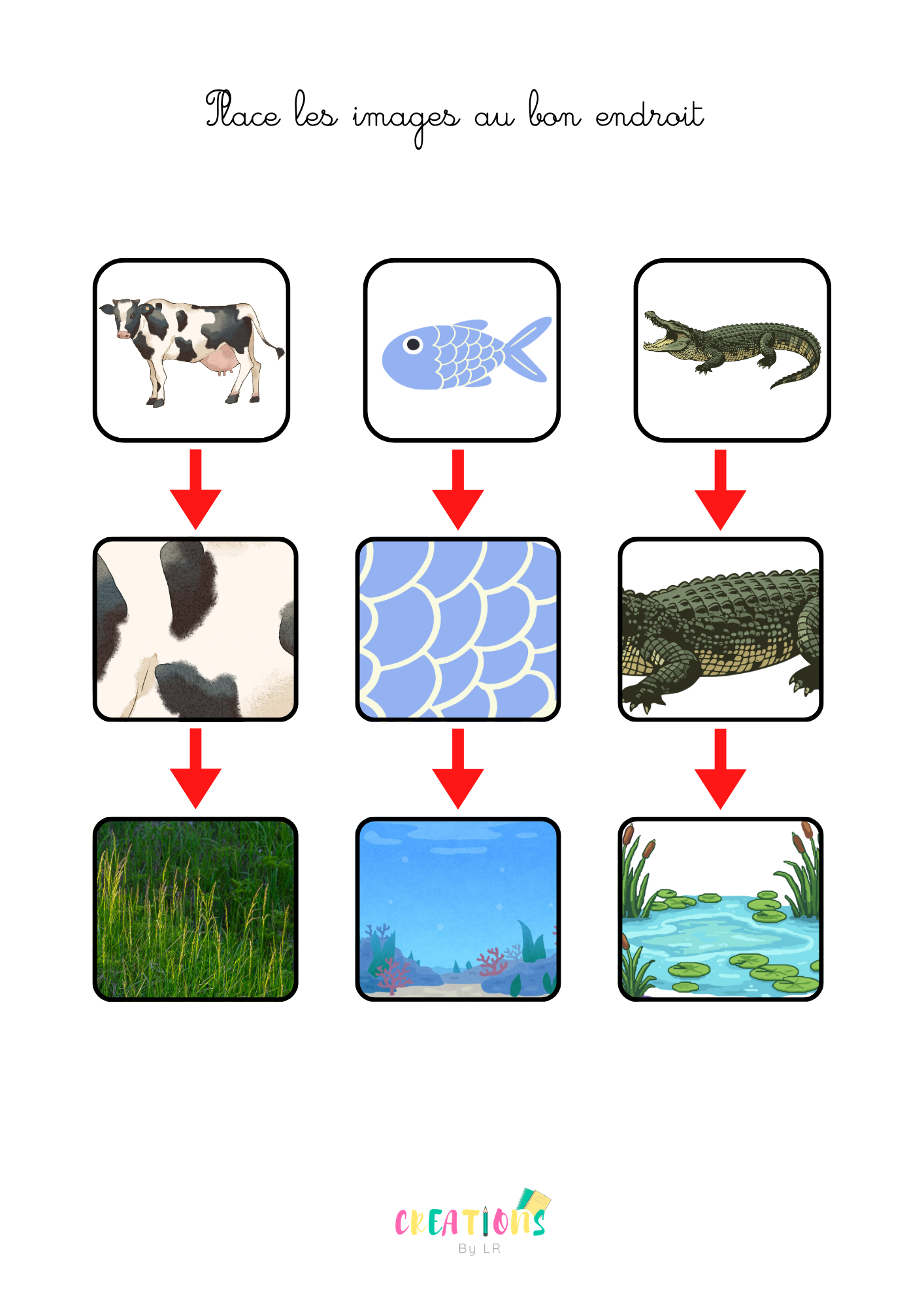 Animaux et leur habitat 🐄🐟🐊
