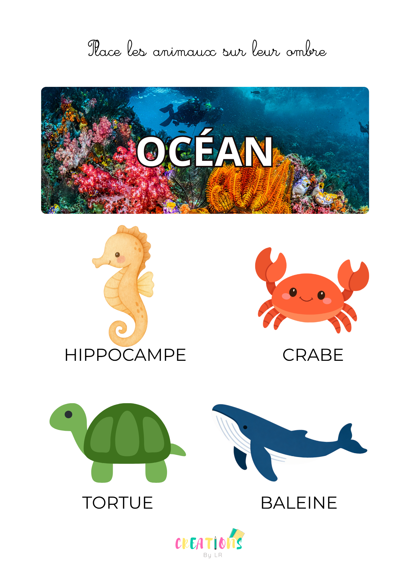 Animaux de l'océan 🌊