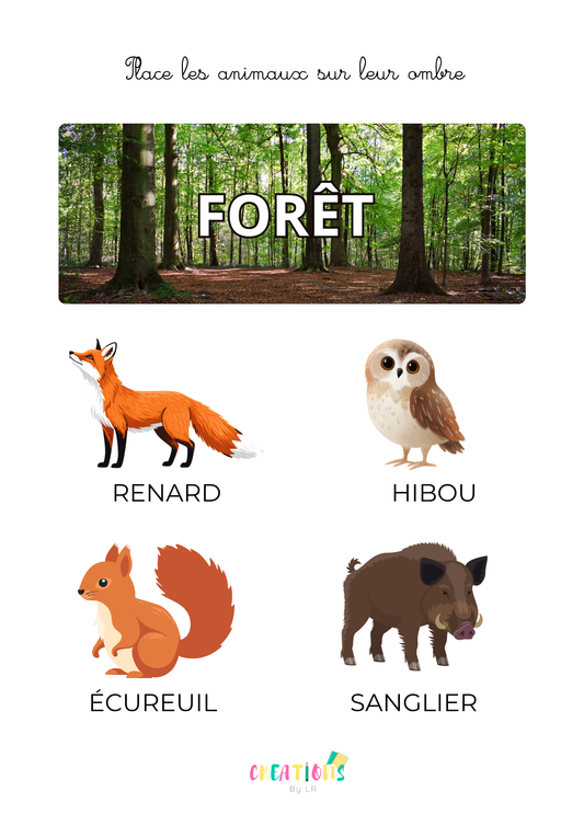 Animaux de la forêt 🦊