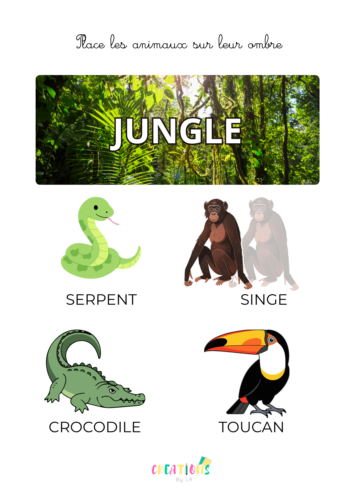 Animaux de la jungle 🐊