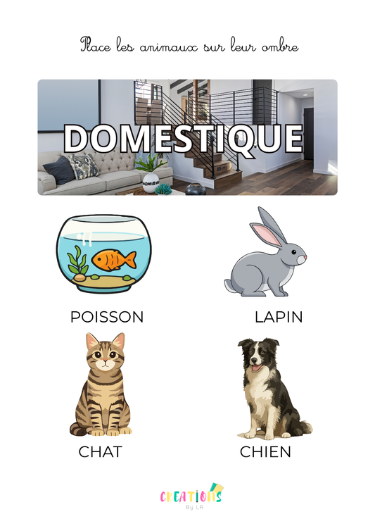 Animaux domestiques 🐟