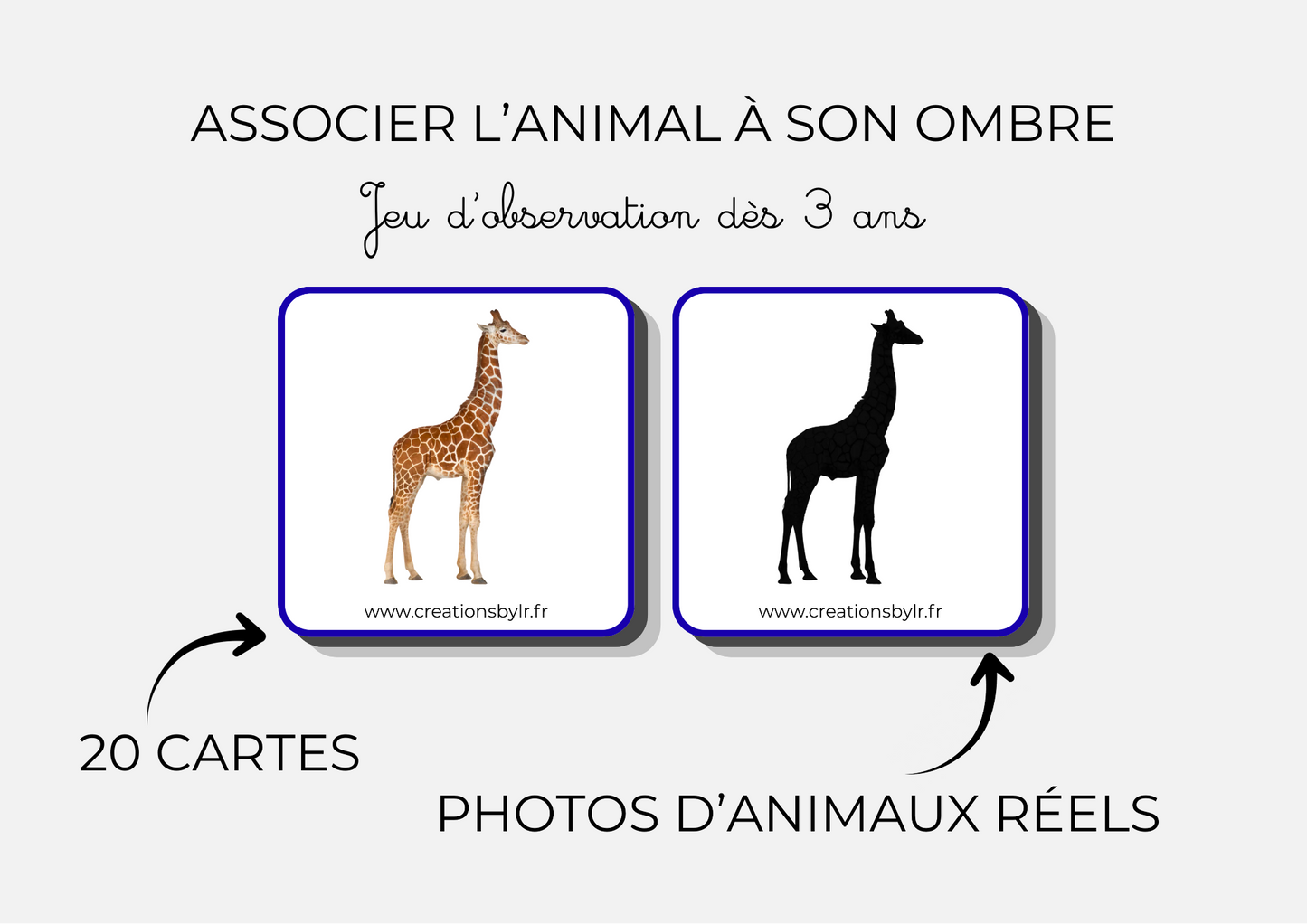 Jeu d’association - Associer l’animal à son ombre
