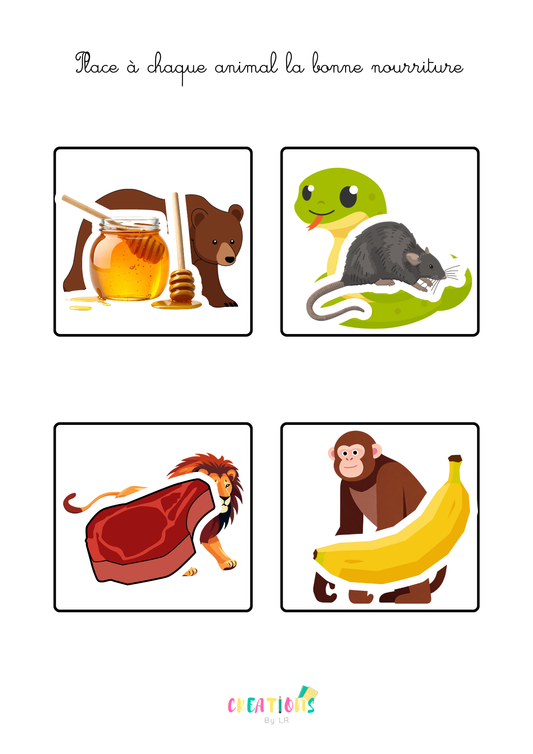 Nourriture des animaux sauvages 🦁