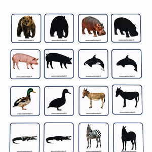 Jeu d’association - Associer l’animal à son ombre
