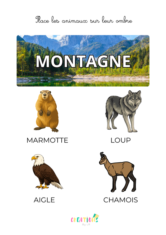 Animaux de la montagne 🏔️