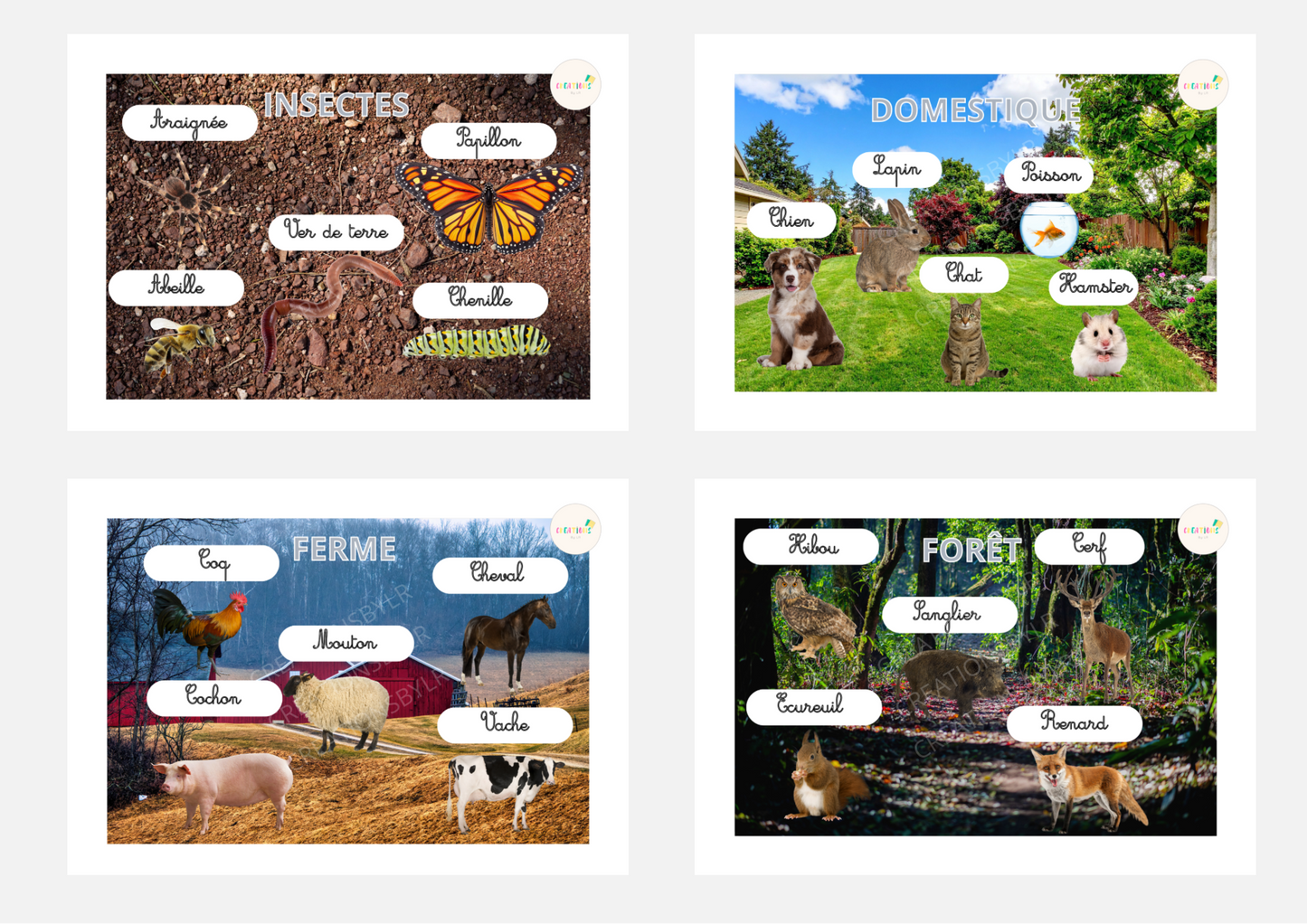 Mon livret d’activités : LES ANIMAUX